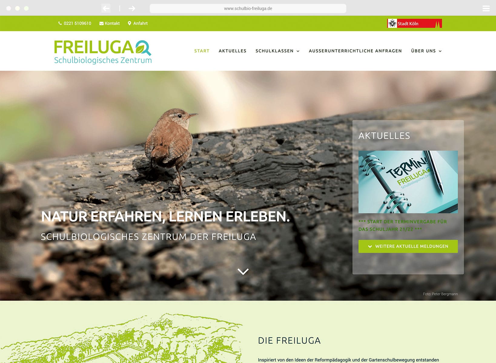 Webdesign mit WordPress – individuell zugeschnitten Webdesign mit WordPress – individuell zugeschnitten