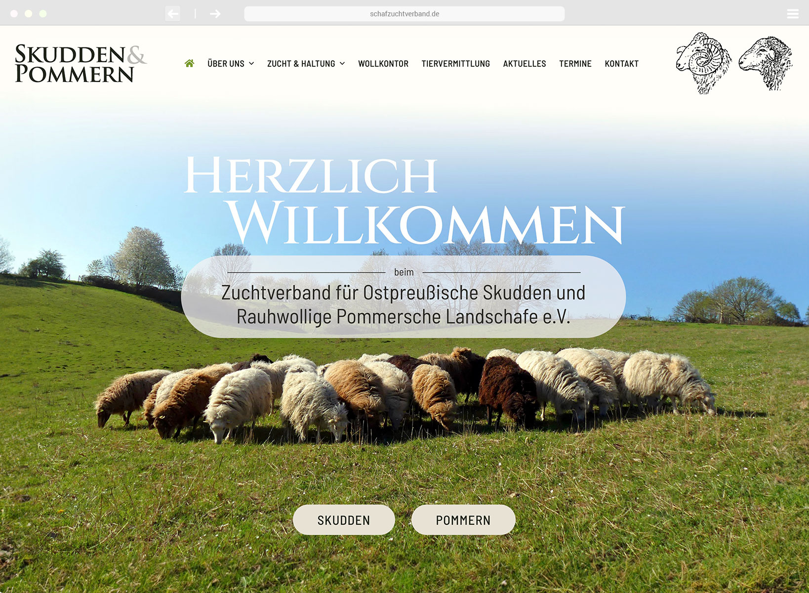Webdesign mit WordPress – individuell zugeschnitten Webdesign mit WordPress – individuell zugeschnitten